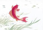 放生的發(fā)心及注意事項(xiàng) 放生的發(fā)心及注意事項(xiàng)