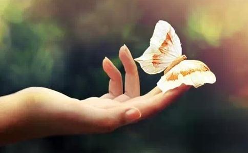 ތW(xu)ˑ(yng)ԓôӿ̎龉