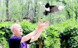退休老人十年放生千只鳥 退休老人十年放生千只鳥