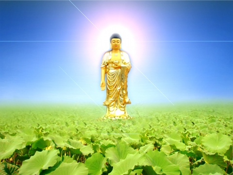 ӷ𡱵ġ(yng)ԓ_кκx