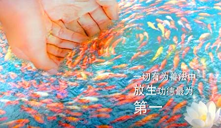 ˷rĺ΃x܉һιo