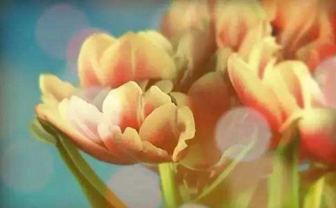 ĕrǈԳx