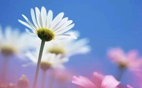 ڮ(dng)£̹ʎ挦(du)