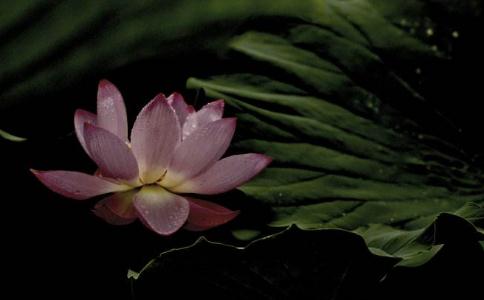 ʼͨSD(zhun)