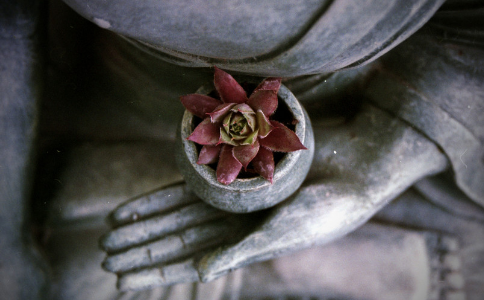 ڼҷͽ(yng)Է@N˜ʵĳ˞