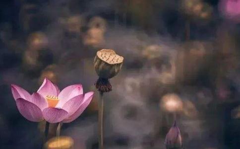 Ӳ(hu)ڶ^(gu)ʧ