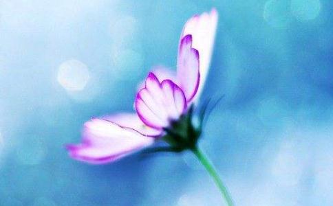 ˿gһӵĆ
