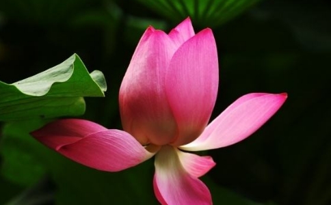 RһUʲô޵ôҊ(jin)_(d)