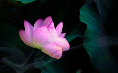 􅢷ʲôռԷԻ?yn)ز_(hu)ӳ