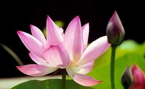 編(du)Щ(du)I(y)Ĺ(bo)(hu)Խ