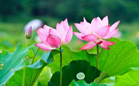 ӡ󎟣ʮʲô̎