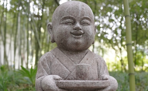 Ʒ葪(yng)ԓʲô