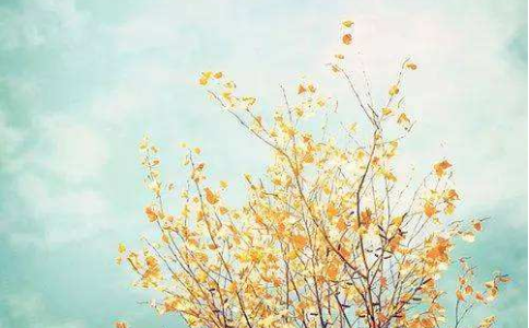 ʵˣe(cu)`Լ(i)ܐ(i)@J(rn)Լ(du)Լ