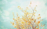 e(cu)`Լ(i)ܐ(i)@J(rn)Լ(du)Լ