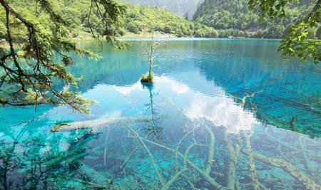 佛理禪機(jī):別人對(duì)待你的方式都是你所教的