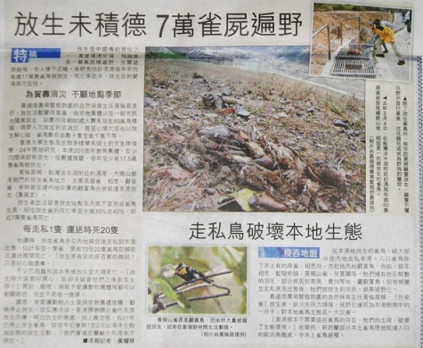 反省和思考放生行為